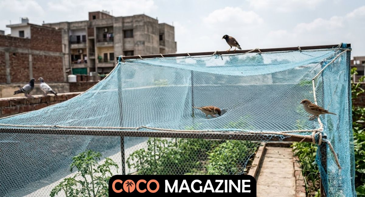 Bird Netting
