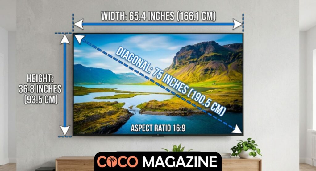 Do 75 Inch TV Dimensions Vary by Brand?